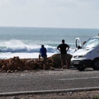 surf check mint surf